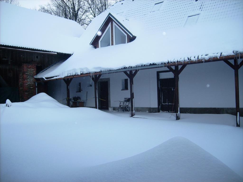 Penzion U Dvojice Nove Mesto na Morave Ngoại thất bức ảnh